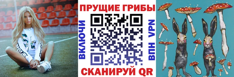 mega зеркало Беслан Галлюциногенные грибы мухоморы